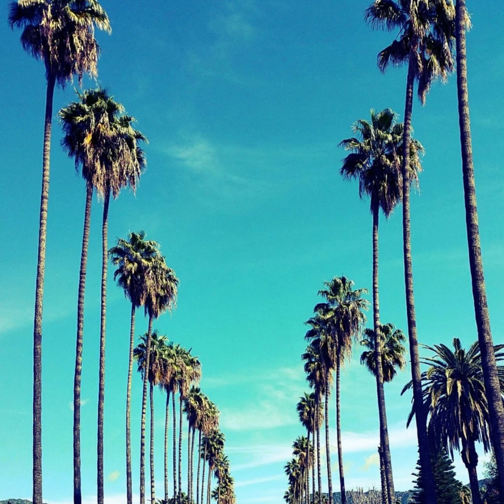 Meet your Posher, Cate